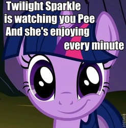 Size: 449x455 | Tagged: safe, twilight sparkle, pony, g4, caption, female, grin, implied watersports, looking at you, mare, smiling, solo