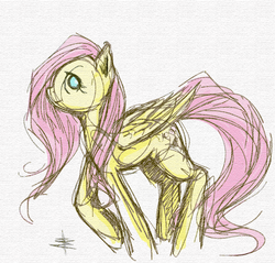 Size: 898x859 | Tagged: safe, artist:tt-n, fluttershy, pegasus, pony, g4, colored sketch, female, looking at you, mare, profile, sketch, smiling, solo, wings