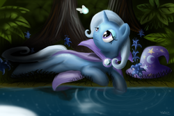 Size: 3000x2000 | Tagged: safe, artist:wojtovix, trixie, butterfly, pony, unicorn, g4, cape, clothes, female, gem, hat, high res, horn, solo, water