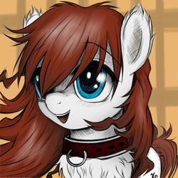 Size: 600x600 | Tagged: source needed, safe, artist:kejifox, artist:rainbow, oc, oc only, oc:gammadelta, pony, blue eyes, chest fluff, collar, colored, cute, digital art, ear fluff, fluffy, pet, pony pet, solo, unshorn fetlocks