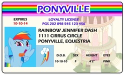 Size: 500x300 | Tagged: safe, artist:doctorxfizzle, rainbow dash, g4, female, full name, id card, license