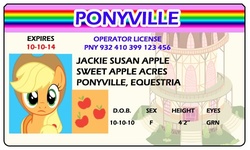 Size: 500x300 | Tagged: safe, artist:doctorxfizzle, applejack, earth pony, pony, g4, female, full name, id card, license, solo