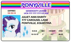 Size: 500x300 | Tagged: safe, artist:doctorxfizzle, rarity, pony, g4, full name, id card, last name basis, license, solo