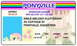 Size: 500x300 | Tagged: safe, artist:doctorxfizzle, fluttershy, g4, full name, id card, last name basis, license