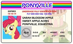 Size: 500x300 | Tagged: safe, artist:doctorxfizzle, apple bloom, g4, full name, id card, license