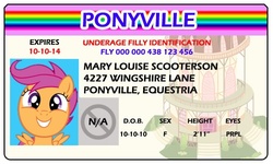 Size: 500x300 | Tagged: safe, artist:doctorxfizzle, scootaloo, g4, full name, id card, license