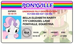 Size: 500x300 | Tagged: safe, artist:doctorxfizzle, sweetie belle, pony, unicorn, g4, 10-10-10, female, filly, foal, full name, horn, id card, license, ponyville town hall