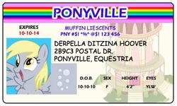 Size: 500x300 | Tagged: safe, artist:doctorxfizzle, derpy hooves, pegasus, pony, g4, female, full name, id card, license, mare