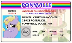 Size: 500x300 | Tagged: safe, artist:doctorxfizzle, dinky hooves, g4, full name, id card, license