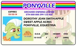 Size: 500x300 | Tagged: safe, artist:doctorxfizzle, granny smith, g4, full name, id card, license