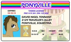 Size: 500x300 | Tagged: safe, artist:doctorxfizzle, doctor whooves, time turner, g4, david tennant, full name, height, id card, license, male, stallion