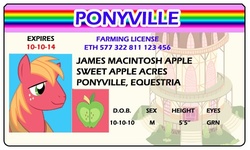 Size: 500x300 | Tagged: safe, artist:doctorxfizzle, big macintosh, earth pony, pony, g4, full name, id card, license, male, stallion