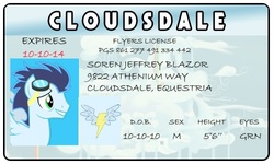 Size: 500x300 | Tagged: safe, artist:doctorxfizzle, soarin', g4, full name, id card, license