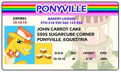 Size: 500x300 | Tagged: safe, artist:doctorxfizzle, carrot cake, earth pony, pony, g4, full name, id card, license, male, stallion