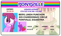 Size: 500x300 | Tagged: safe, artist:doctorxfizzle, berry punch, berryshine, g4, full name, id card, license