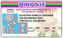 Size: 500x300 | Tagged: safe, artist:doctorxfizzle, silver spoon, g4, full name, id card, license