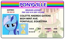 Size: 500x300 | Tagged: safe, artist:doctorxfizzle, minuette, pony, unicorn, g4, full name, id card, license