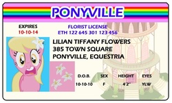 Size: 500x300 | Tagged: safe, artist:doctorxfizzle, lily, lily valley, g4, full name, id card, license