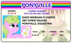 Size: 500x300 | Tagged: safe, artist:doctorxfizzle, daisy, flower wishes, g4, full name, id card, license