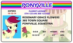 Size: 500x300 | Tagged: safe, artist:doctorxfizzle, roseluck, g4, full name, id card, license