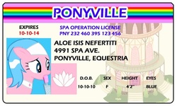 Size: 500x300 | Tagged: safe, artist:doctorxfizzle, aloe, earth pony, pony, g4, full name, id card, license