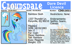 Size: 1013x638 | Tagged: artist needed, safe, rainbow dash, g4, female, id card, license