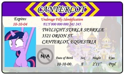 Size: 500x300 | Tagged: safe, artist:doctorxfizzle, twilight sparkle, g4, filly twilight sparkle, full name, id card, license, younger