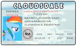 Size: 500x300 | Tagged: safe, artist:doctorxfizzle, rainbow dash, g4, female, full name, id card, license, younger