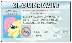 Size: 500x300 | Tagged: safe, artist:doctorxfizzle, fluttershy, g4, full name, id card, last name basis, license, younger