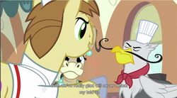 Size: 856x474 | Tagged: safe, screencap, donut joe, gustave le grande, mulia mild, griffon, pony, unicorn, g4, mmmystery on the friendship express, male, stallion, youtube caption