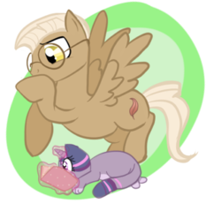 Size: 354x339 | Tagged: safe, artist:rppirate, owlowiscious, twilight sparkle, cat, pony, g4, ponified, ponified pony pets, simple background, species swap, transparent background