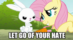 Size: 628x346 | Tagged: safe, edit, edited screencap, screencap, angel bunny, fluttershy, pegasus, pony, rabbit, dragonshy, g4, animal, carrot, duo, female, food, image macro, let go of your hate, mare