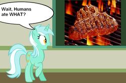 Size: 889x590 | Tagged: safe, lyra heartstrings, pony, unicorn, g4, barbeque, chalkboard, female, food, grill, herbivore vs omnivore, human studies101 with lyra, meat, meme, photo, solo, steak