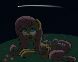 Size: 1250x1000 | Tagged: safe, artist:terra-aquis, angel bunny, fluttershy, g4, night, shooting star