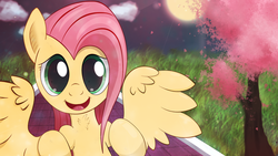 Size: 1920x1080 | Tagged: safe, artist:zipomon, fluttershy, pegasus, pony, g4, cherry blossoms, cloud, female, flower, flower blossom, grass, mare, moon, open mouth, solo, tree, wings