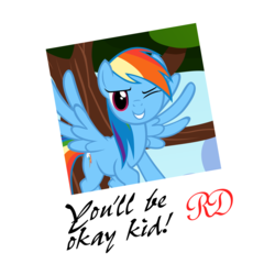 Size: 2000x2000 | Tagged: safe, artist:navitaserussirus, rainbow dash, pony, g4, autograph, female, high res, picture, polaroid, solo