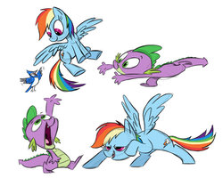 Size: 900x720 | Tagged: safe, artist:sibsy, rainbow dash, spike, bird, dragon, pegasus, pony, g4, behind the scenes, female, male, mare, simple background, white background
