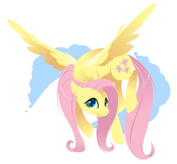 Size: 562x521 | Tagged: safe, artist:kilo, fluttershy, pegasus, pony, g4, female, mare, simple background, solo, white background