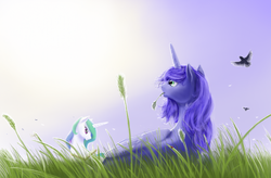 Size: 1200x786 | Tagged: safe, artist:grayma1k, princess celestia, princess luna, alicorn, bird, pony, g4, female, grass, hay stalk, mare, sisters