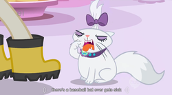 Size: 852x471 | Tagged: safe, screencap, opalescence, cat, pony, g4, suited for success, boots, fangs, hub logo, logo, open mouth, pointing, shoes, the hub, tongue out, youtube caption