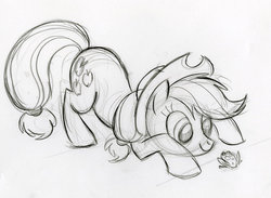 Size: 900x659 | Tagged: safe, artist:lauren faust, applejack, earth pony, frog, pony, g4, behind the scenes, color me, concept art, face down ass up, female, frog inspector applejack, grayscale, mare, monochrome, solo, traditional art