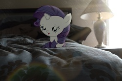 Size: 2464x1632 | Tagged: safe, artist:oppositebros, rarity, pony, g4, baby, baby pony, foal, irl, lamp, photo, ponies in real life, solo