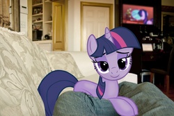 Size: 1000x667 | Tagged: safe, twilight sparkle, pony, g4, bedroom eyes, couch, irl, photo, ponies in real life, vector