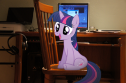 Size: 900x599 | Tagged: artist needed, safe, twilight sparkle, pony, unicorn, g4, chair, computer, female, irl, mare, microsoft windows, photo, ponies in real life, solo, unicorn twilight, vector, windows 7