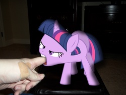 Size: 4000x3000 | Tagged: safe, twilight sparkle, human, pony, g4, irl, nom, photo, ponies in real life, vector