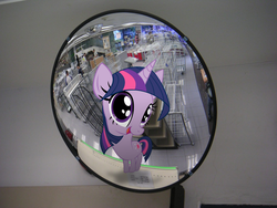 Size: 1024x768 | Tagged: safe, artist:bryal, twilight sparkle, pony, g4, big head, irl, mirror, photo, ponies in real life, silly