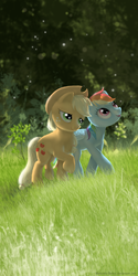 Size: 800x1600 | Tagged: safe, artist:mohawkmax, applejack, rainbow dash, g4, female, lesbian, mare, ship:appledash, shipping