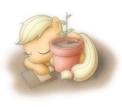 Size: 1000x875 | Tagged: safe, artist:jdan-s, applejack, bloomberg, pony, g4, book, cute, female, filly, flower pot, foal, jackabetes, sleeping, solo, tree, younger