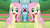 Size: 1174x658 | Tagged: safe, fluttershy, rainbow dash, g4, female, hub logo, hubble, mirrored, unitinu