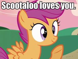 Size: 584x438 | Tagged: safe, edit, edited screencap, screencap, scootaloo, g4, caption, image macro